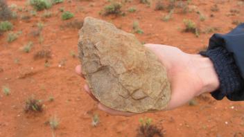 Handaxe from South Africa